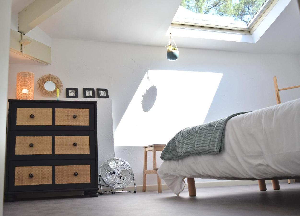 Julia Blue, Villa Hostal Naou Hossegor - Sauna - Salle De Sport - Wifi - Netflix ソール・オスゴール エクステリア 写真