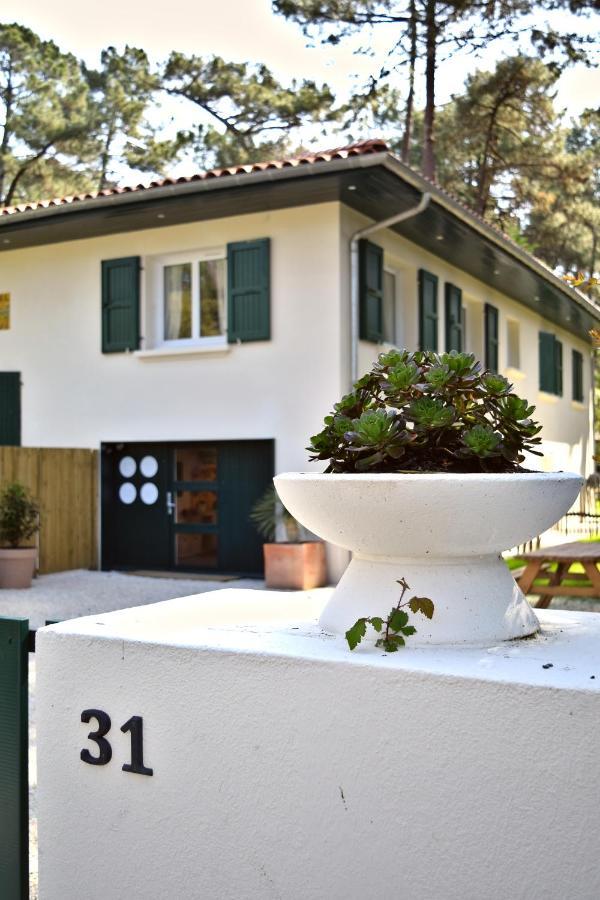 Julia Blue, Villa Hostal Naou Hossegor - Sauna - Salle De Sport - Wifi - Netflix ソール・オスゴール エクステリア 写真